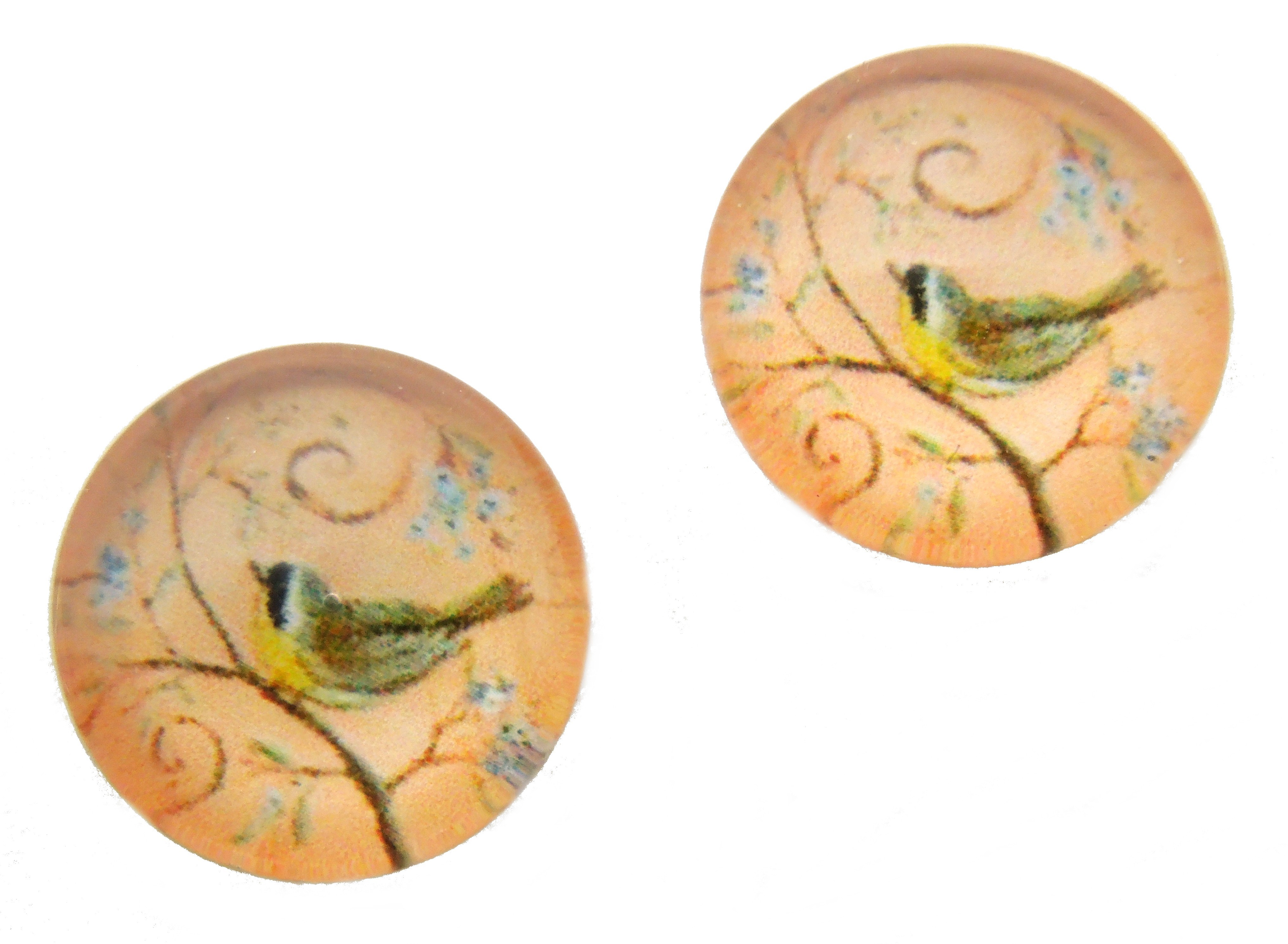 2 Cabochons en Verre Illustrés Oiseau 12mm