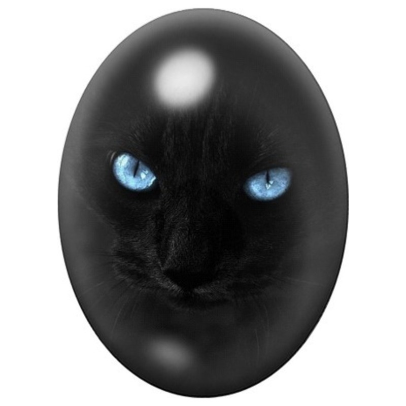 Cabochon en Verre Illustré Chat Noir aux Yeux Bleus 13x18, 18x25 ou 30x40mm