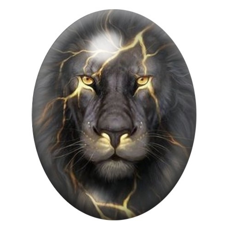 Cabochon en Verre Illustré Lion 13x18, 18x25 ou 30x40mm