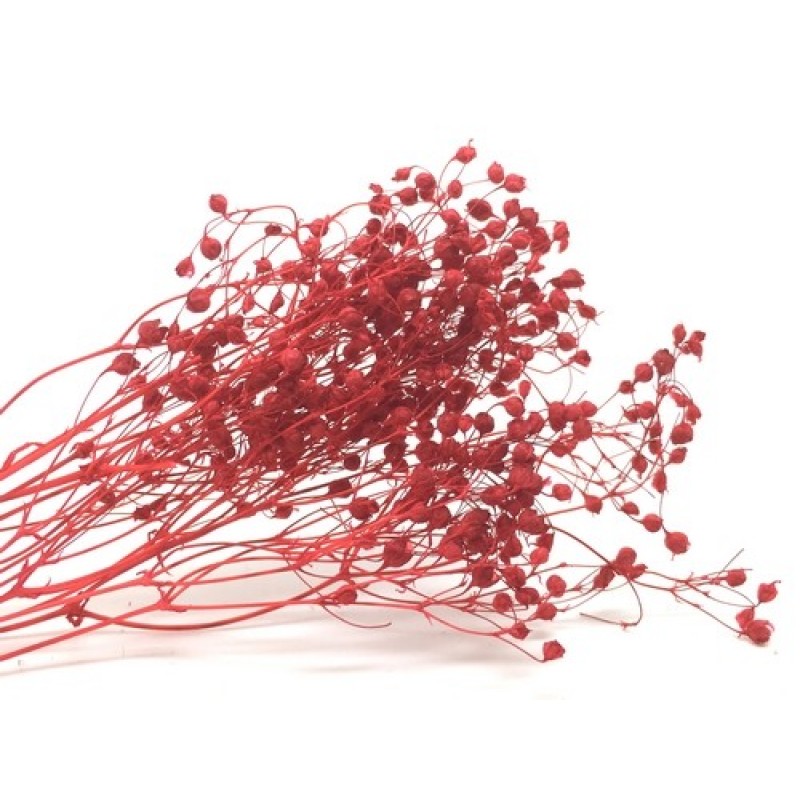 1 Sachet de Fleurs Séchées Rouge pour Globe Fiole