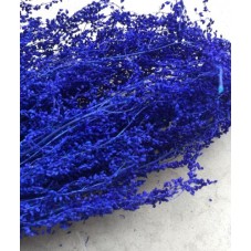 1 Sachet de Fleurs Séchées Bleu pour Globe et Fiole pour la Création de Bijoux Fantaisie - DIY