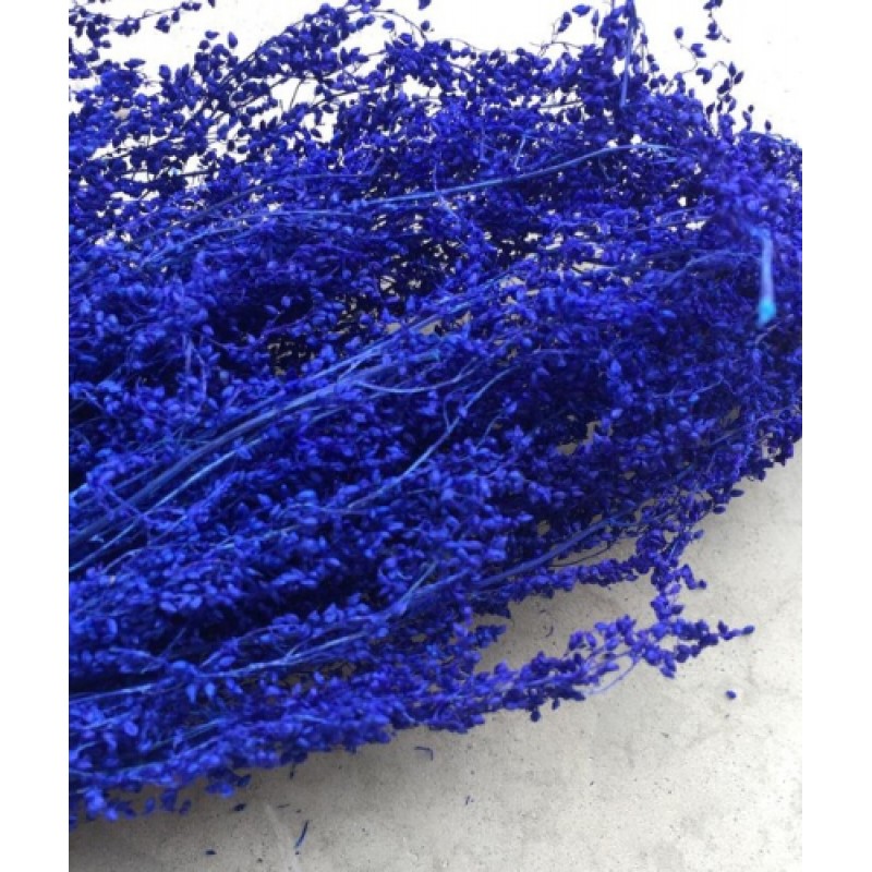 1 Sachet de Fleurs Séchées Bleu pour Globe et Fiole