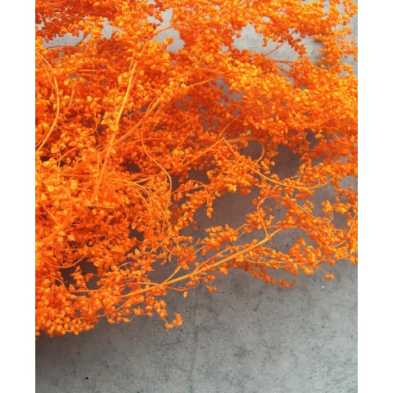 1 Sachet de Fleurs Séchées Orange pour Globe et Fiole