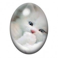 Cabochon en Verre Illustré Chaton Blanc à la Patte Levée 13x18, 18x25 ou 30x40mm pour la création de bijoux fantaisie - DIY
