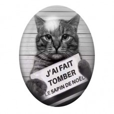 Cabochon en Verre Illustré Chat Coupable de Noël 13x18, 18x25 ou 30x40mm pour la création de bijoux fantaisie - DIY