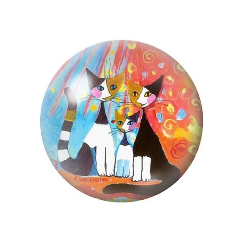 Cabochon en Verre Illustré Chats Colorés 12 à 25mm