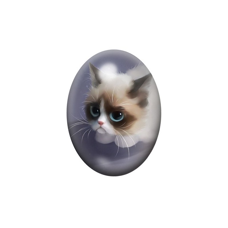 Cabochon en Verre Illustré Chat Grumpy Cat 13x18, 18x25 ou 30x40mm
