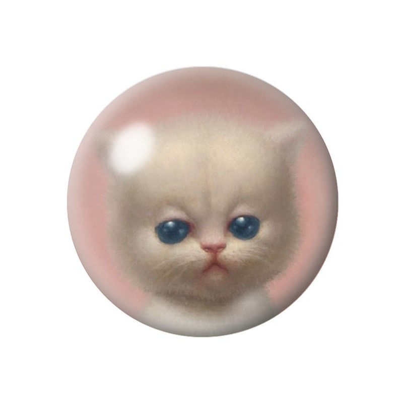Cabochon en Verre Illustré Chaton Blanc aux Yeux Bleus 12 à 25mm