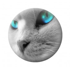 Cabochon en Verre Illustré Chat 12 à 25mm pour la Création de Bijoux Fantaisie - DIY