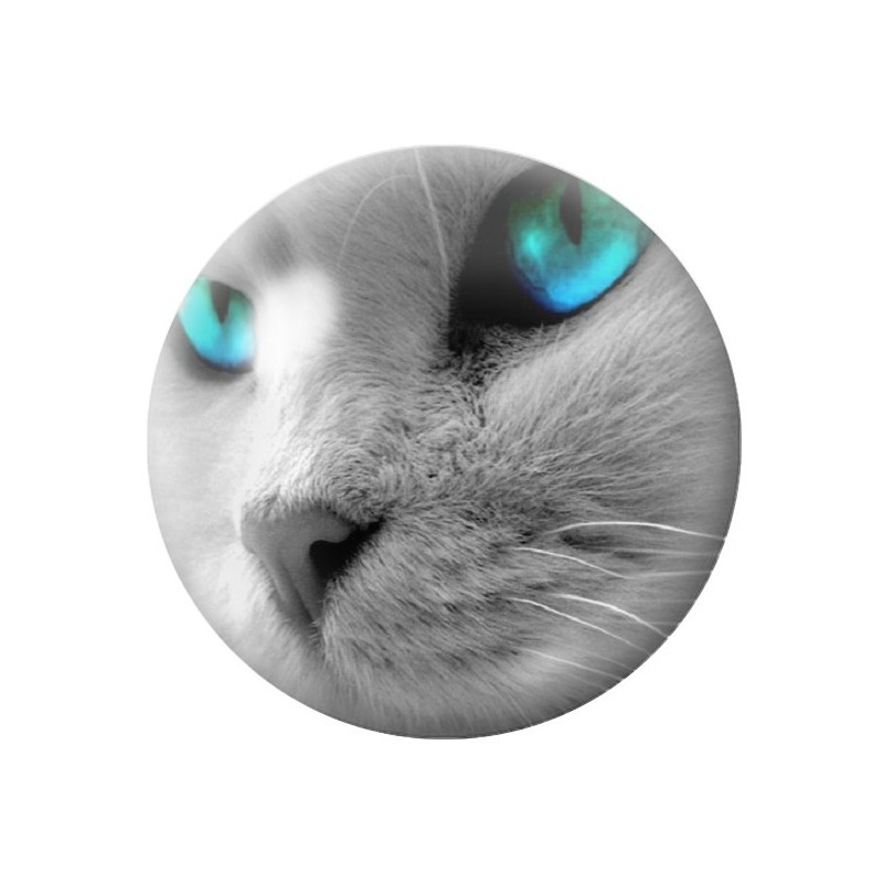 Cabochon en Verre Illustré Chat 12 à 25mm