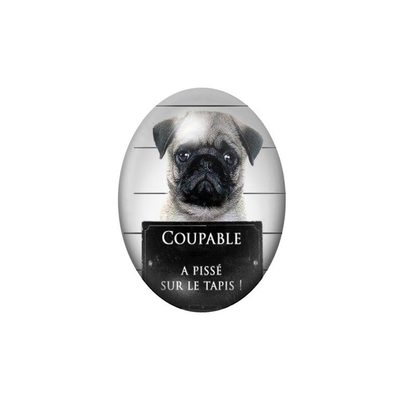 Cabochon en Verre Illustré Chien Coupable Humour 13x18, 18x25 ou 30x40mm