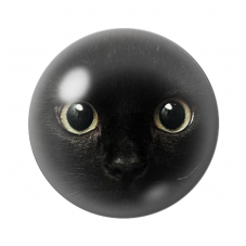 Cabochon en Verre Illustré Tête de Chat 12 à 25mm pour la Création de Bijoux Fantaisie - DIY