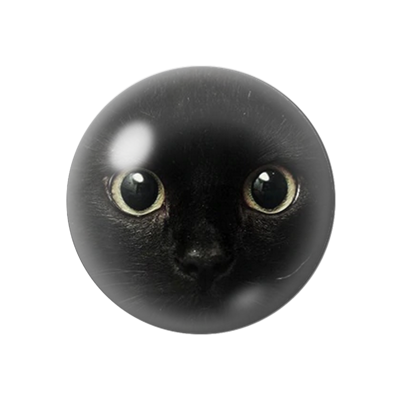 Cabochon en Verre Illustré Tête de Chat 12 à 25mm