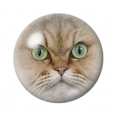 Cabochon en Verre Illustré Tête de Chat 12 à 25mm pour la Création de Bijoux Fantaisie - DIY