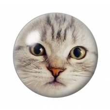 Cabochon en Verre Illustré Tête de Chat 12 à 25mm pour la Création de Bijoux Fantaisie - DIY