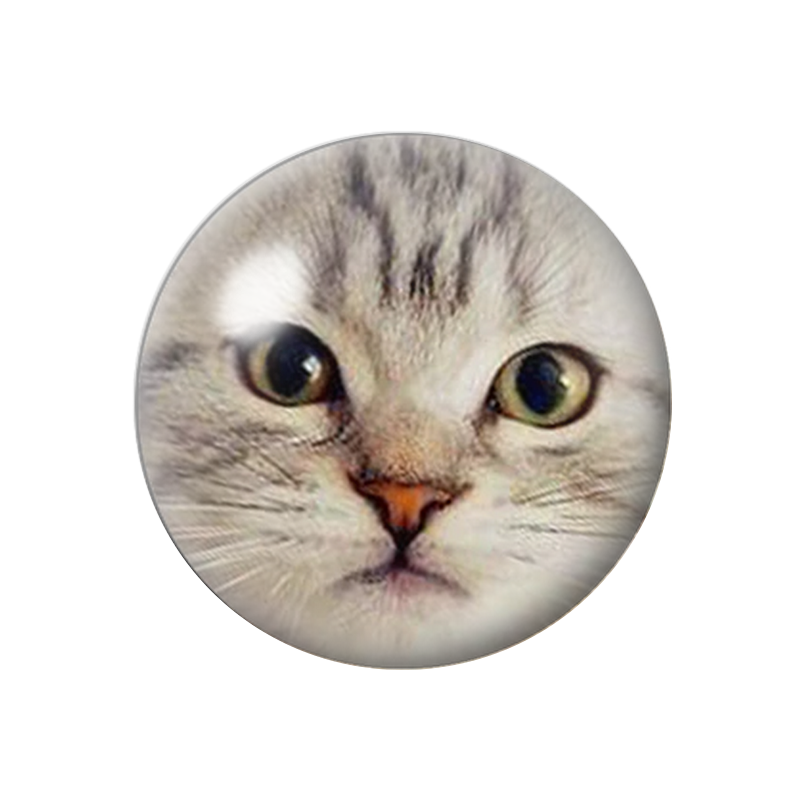 Cabochon en Verre Illustré Tête de Chat 12 à 25mm