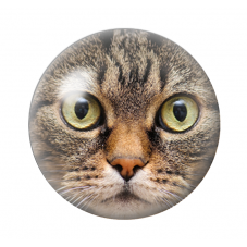 Cabochon en Verre Illustré Tête de Chat 12 à 25mm pour la Création de Bijoux Fantaisie - DIY