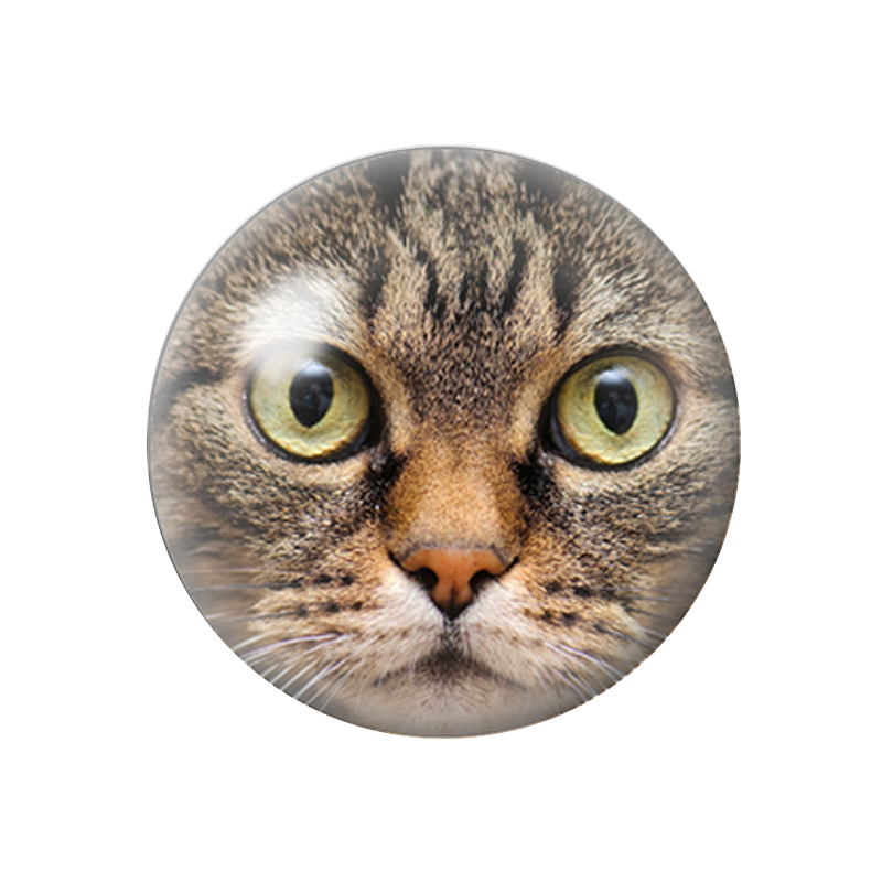 Cabochon en Verre Illustré Tête de Chat 12 à 25mm