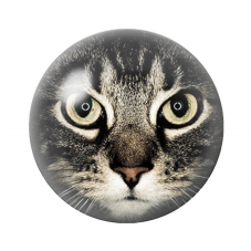 Cabochon en Verre Illustré Tête de Chat 12 à 25mm pour la Création de Bijoux Fantaisie - DIY