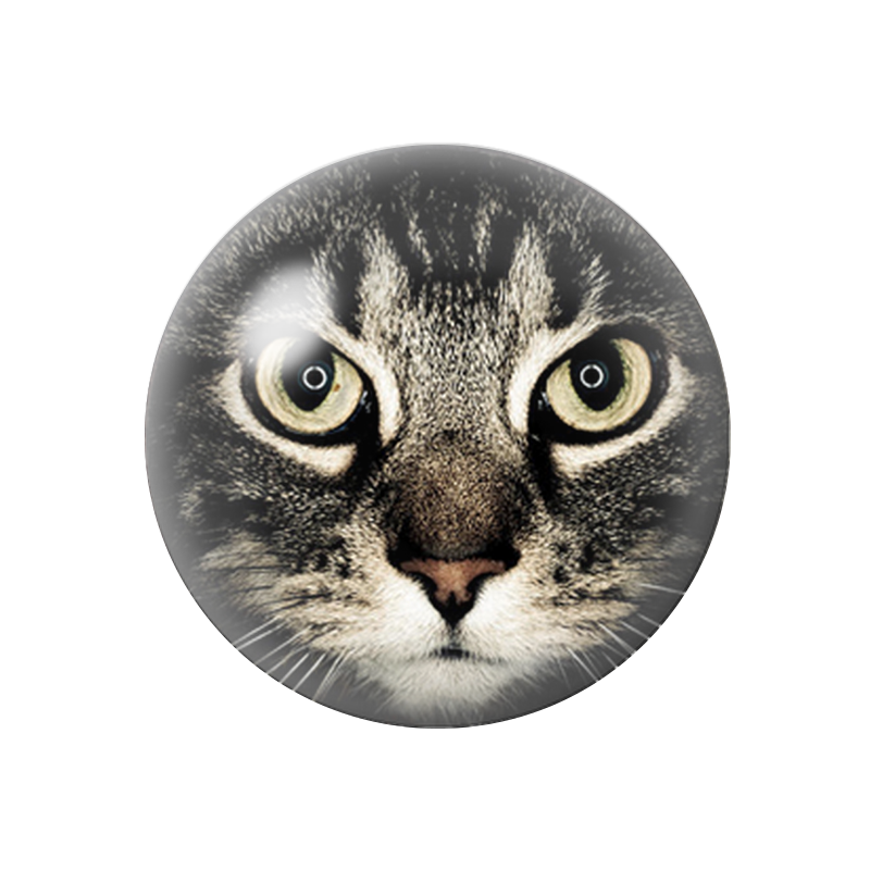Cabochon en Verre Illustré Tête de Chat 12 à 25mm
