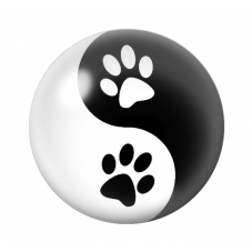 Cabochons en Verre Illustré Patte Chien Chat 12 à 25mm pour la Création de Bijoux Fantaisie - DIY