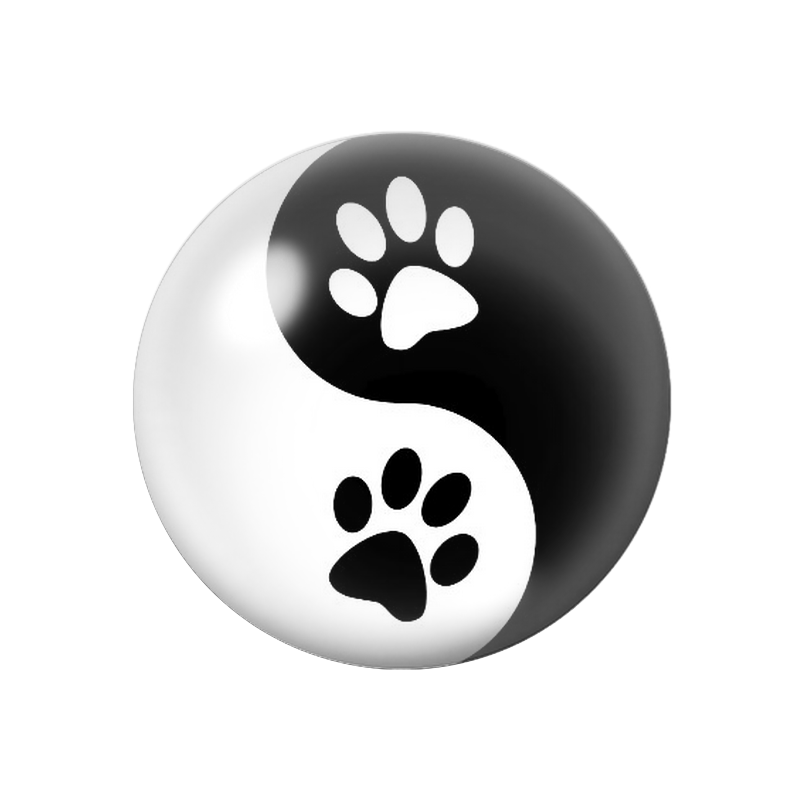 Cabochon en Verre Illustré Yin-Yang aux Empreintes de Chat 12 à 25mm