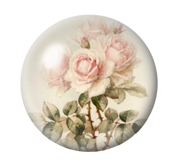 Cabochon en Verre Illustré Fleurs Roses 12 à 25mm