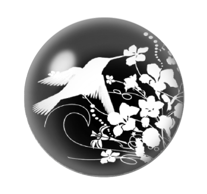 Cabochon en Verre Illustré Oiseau Colibri Fleurs 12 à 25mm