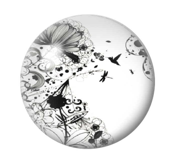 Cabochon en Verre Illustré Oiseau Colibri Fleurs 12 à 25mm