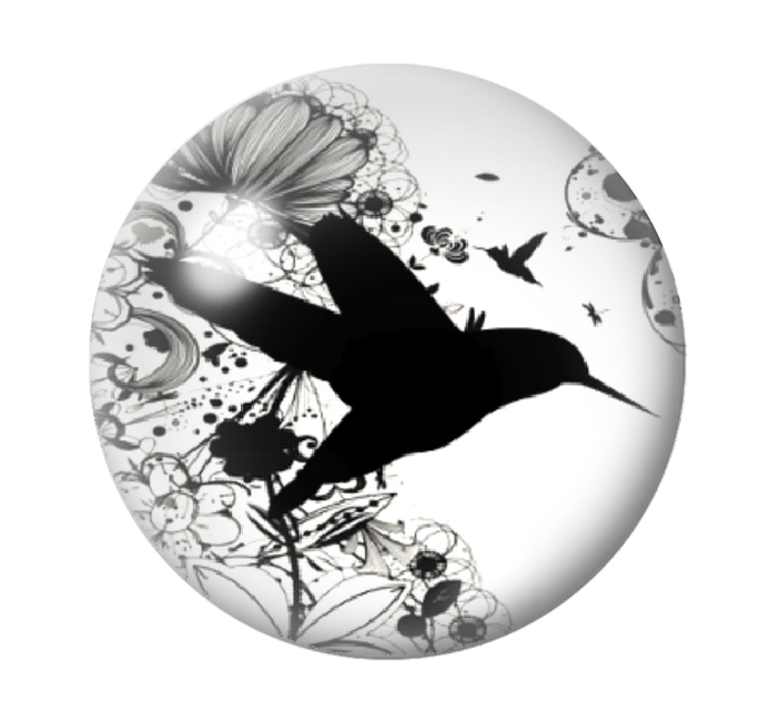 Cabochon en Verre Illustré Oiseau Colibri Fleurs 12 à 25mm