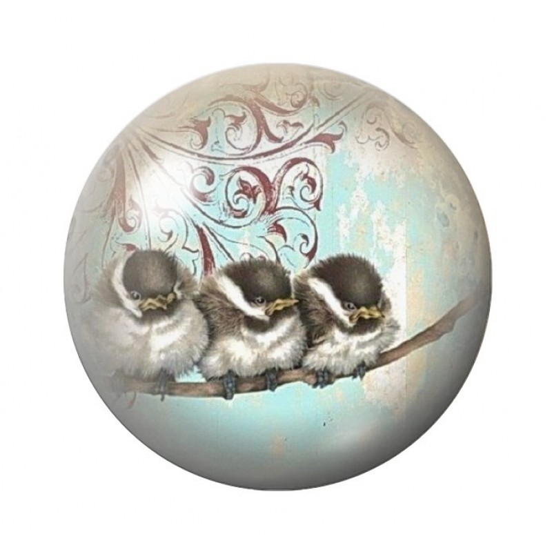 Cabochon en Verre Illustré Oiseaux Vintage 12 à 25mm