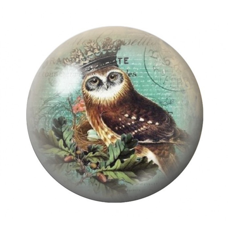 Cabochon en Verre Illustré Hibou Vintage 12 à 25mm