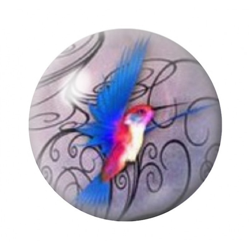 Cabochon en Verre Illustré Oiseau Colibri Coloré 12 à 25mm