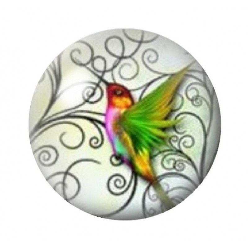 Cabochon en Verre Illustré Oiseau Colibri Coloré 12 à 25mm