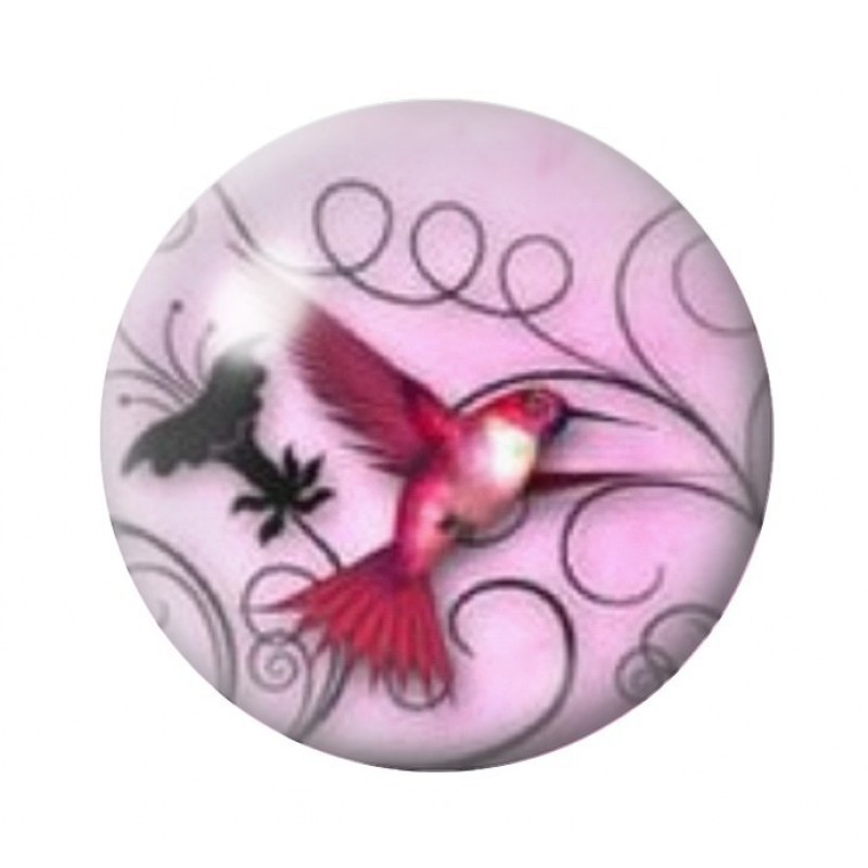Cabochon en Verre Illustré Oiseau Colibri Coloré 12 à 25mm