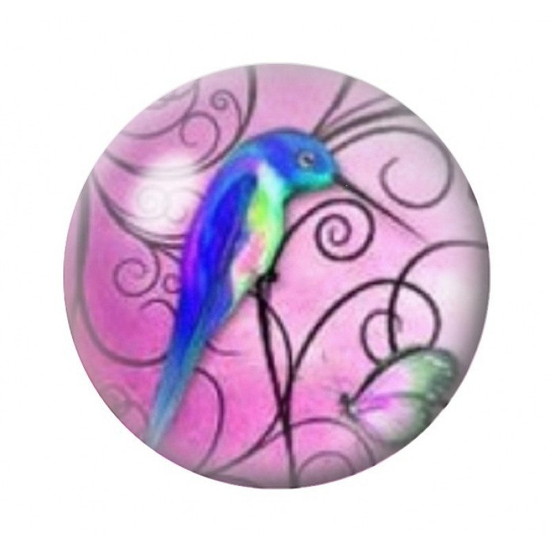 Cabochon en Verre Illustré Oiseau Colibri Coloré 12 à 25mm