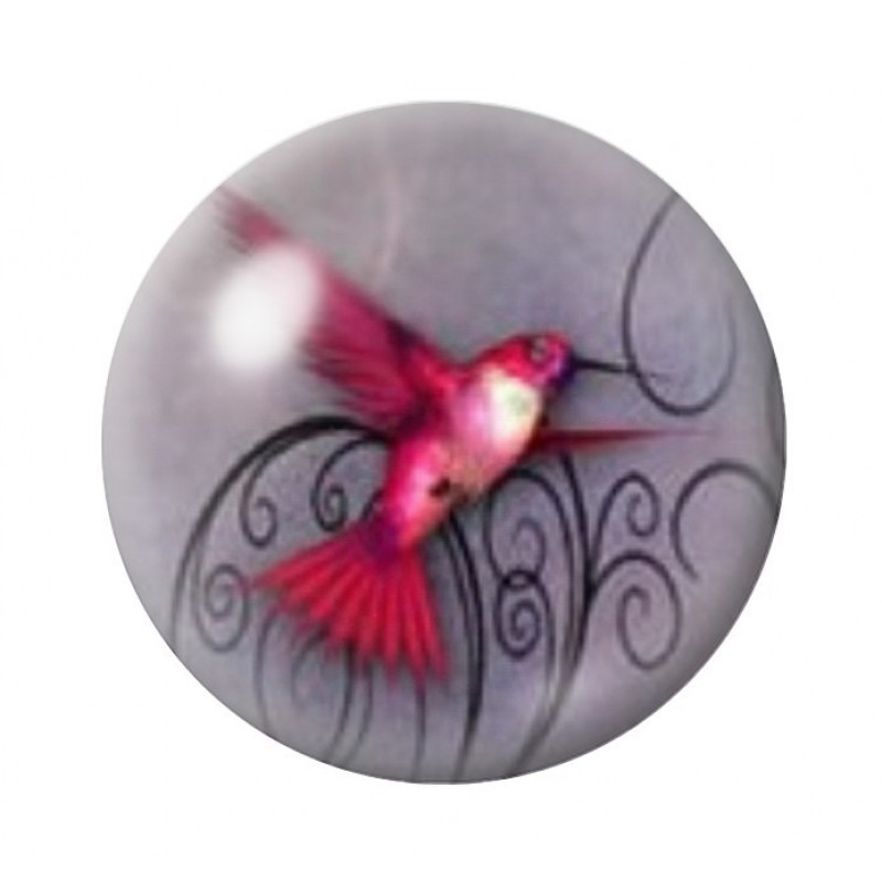 Cabochon en Verre Illustré Oiseau Colibri Coloré 12 à 25mm