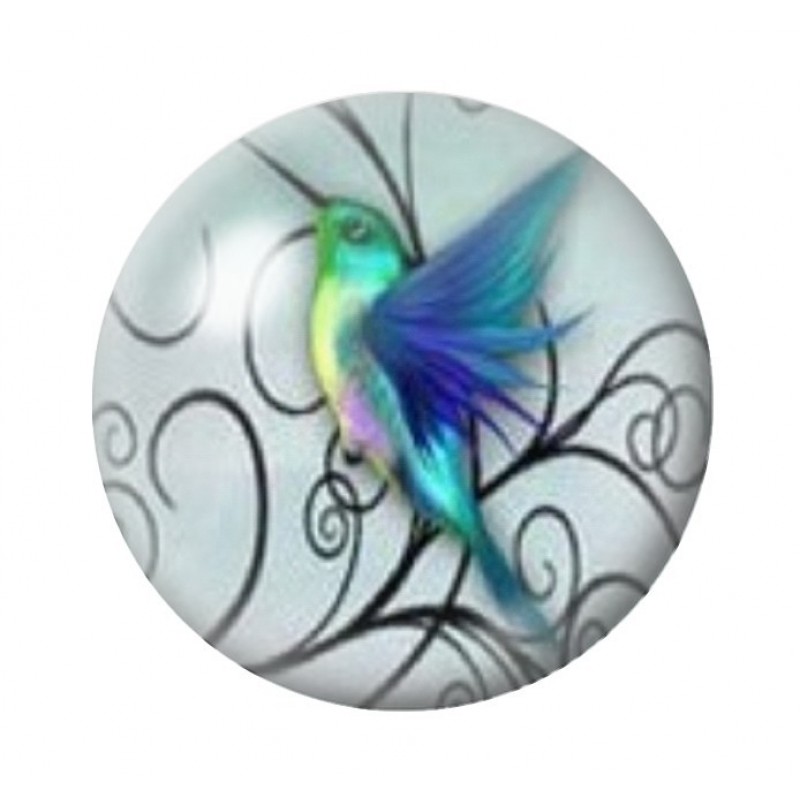 Cabochon en Verre Illustré Oiseau Colibri Coloré 12 à 25mm