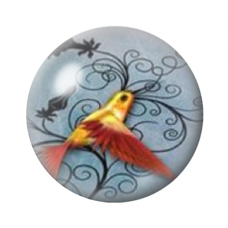 Cabochon en Verre Illustré Oiseau Colibri Coloré 12 à 25mm