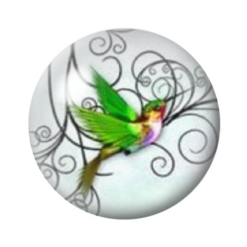 Cabochon en Verre Illustré Oiseau Colibri Coloré 12 à 25mm