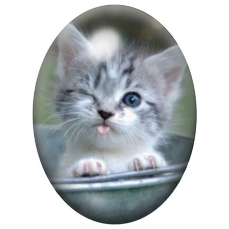 Cabochon en Verre Illustré Chaton Gris duveteux 13x18, 18x25 ou 30x40mm