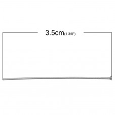 20 Clous Tiges à Tête Plate en Acier Inoxydable 3,5cm