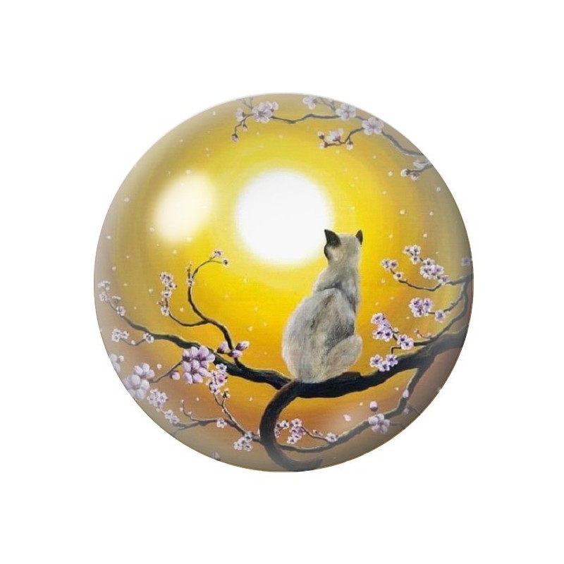 Cabochon en Verre Illustré Chat Lune 12 à 25mm