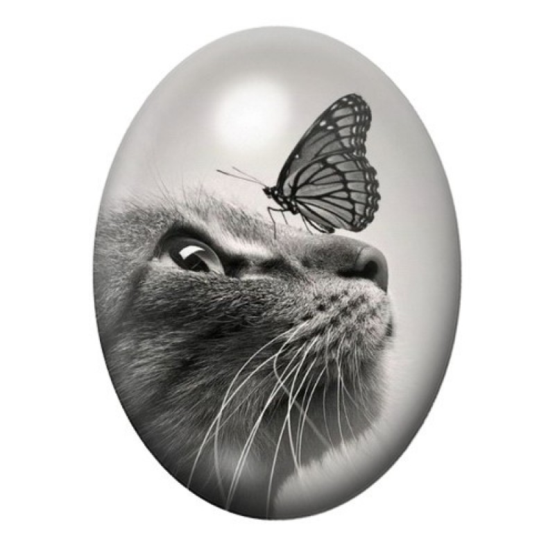 Cabochon en Verre Illustré Chat Papillon 13x18, 18x25 ou 30x40mm