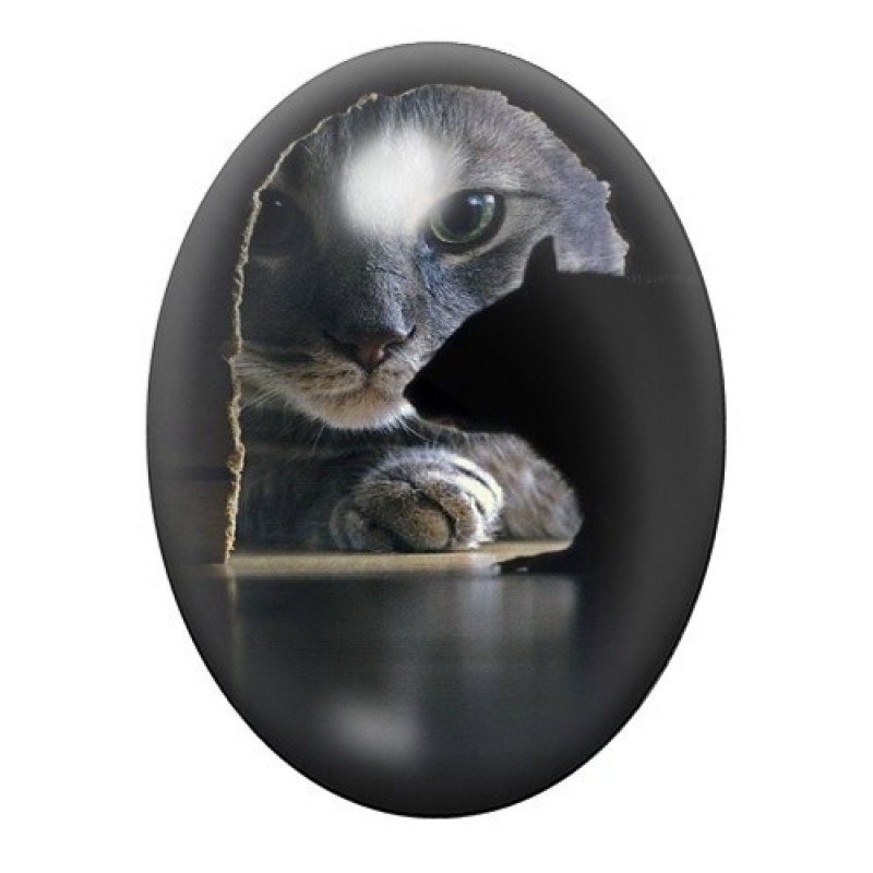 Cabochon en Verre Illustré Chat Trou de Souris 13x18, 18x25 ou 30x40mm