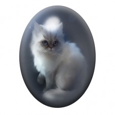 Cabochon en Verre Illustré Chaton Blanc aux Yeux Bleus 13x18, 18x25 ou 30x40mm pour la création de bijoux fantaisie - DIY
