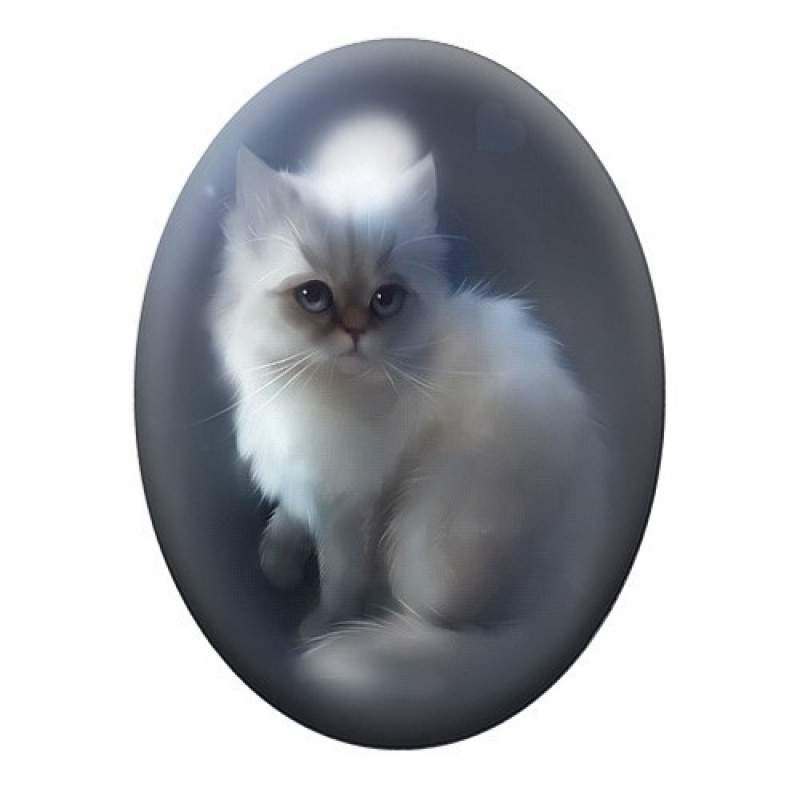 Cabochon en Verre Illustré Chat 13x18, 18x25 ou 30x40mm