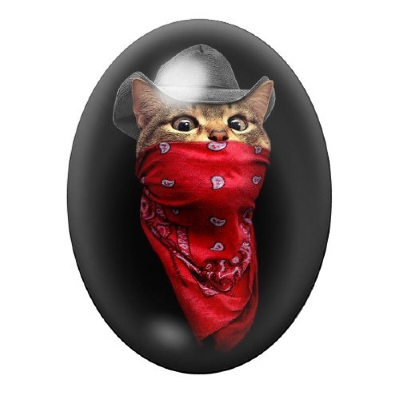 Cabochon en Verre Illustré Chat Bandit 13x18, 18x25 ou 30x40mm