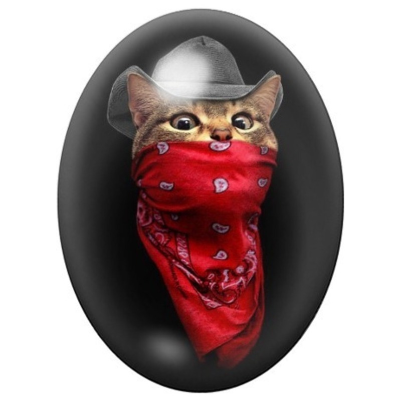 Cabochon en Verre Illustré Chat Bandit au Foulard Rouge 13x18, 18x25 ou 30x40mm