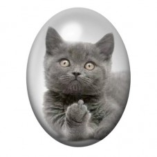 Cabochon en Verre Illustré Chaton Gris aux Pattes Croisées 13x18, 18x25 ou 30x40mm pour la création de bijoux fantaisie - DIY